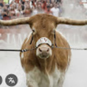 Meet your Posher, Looneysolo